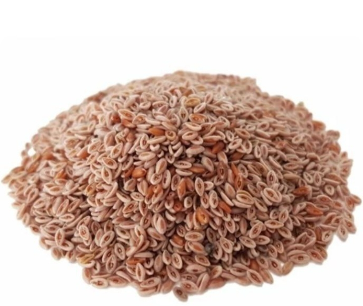 اسفرزه (۱۰۰گرم)