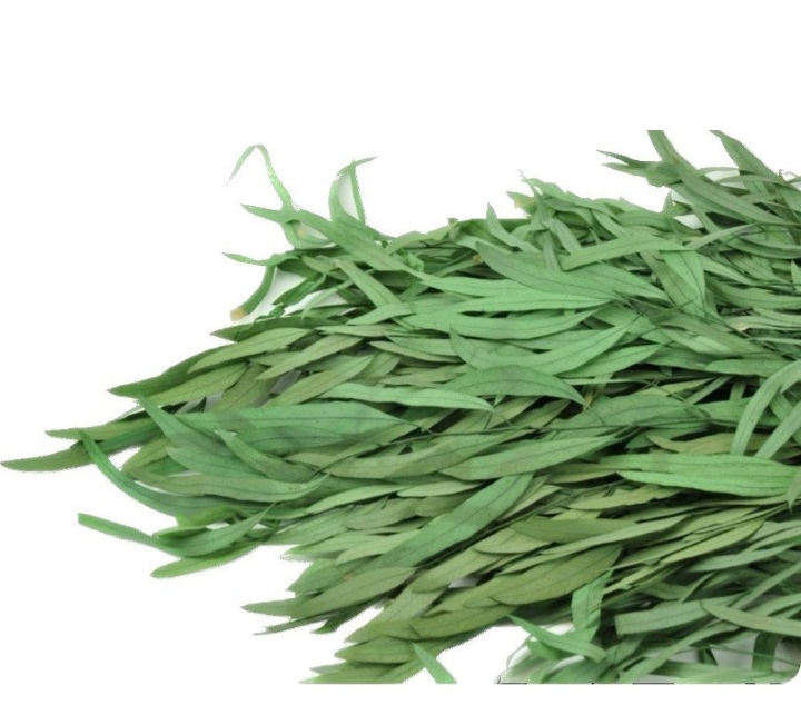 برگ اوکالیپتوس (۳۰گرمی)