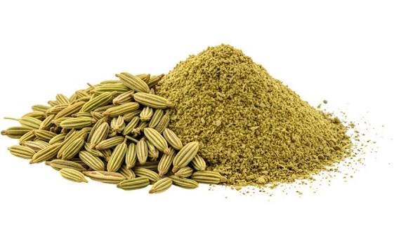 پودر رازیانه ( ۱۰۰گرمی)