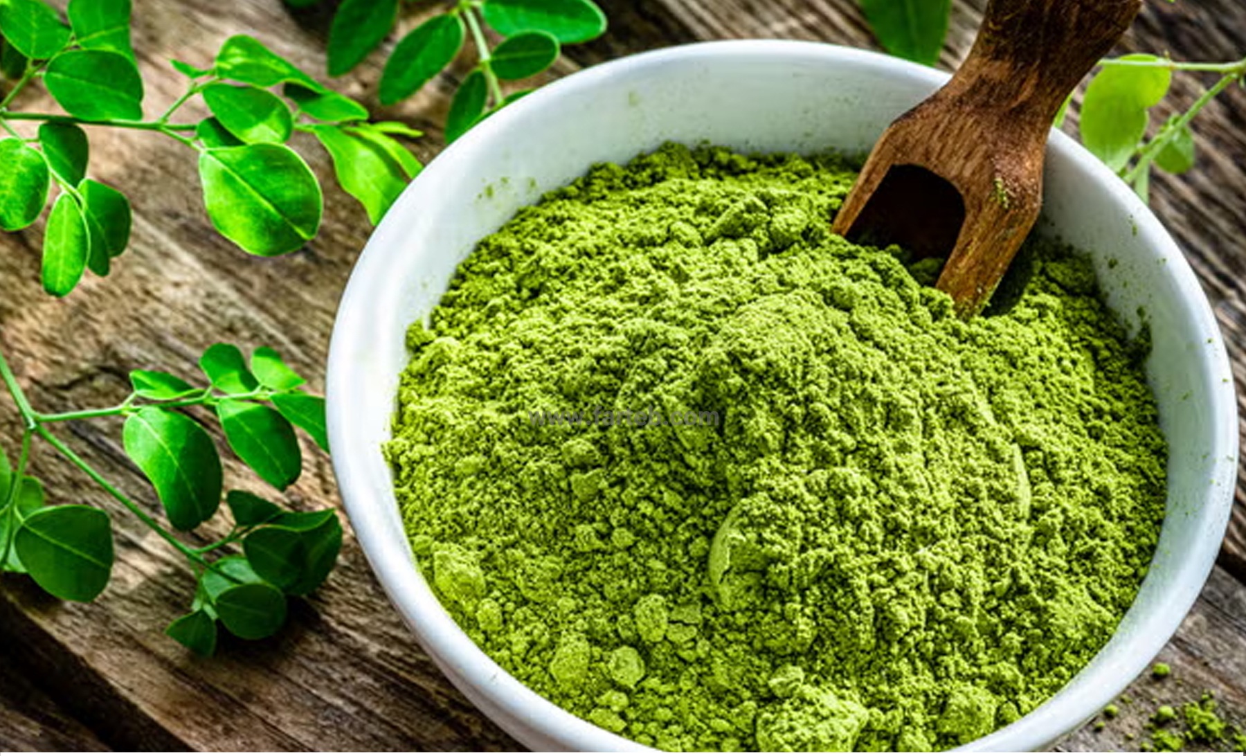 پودر مورینگا( ۱۰۰گرمی)