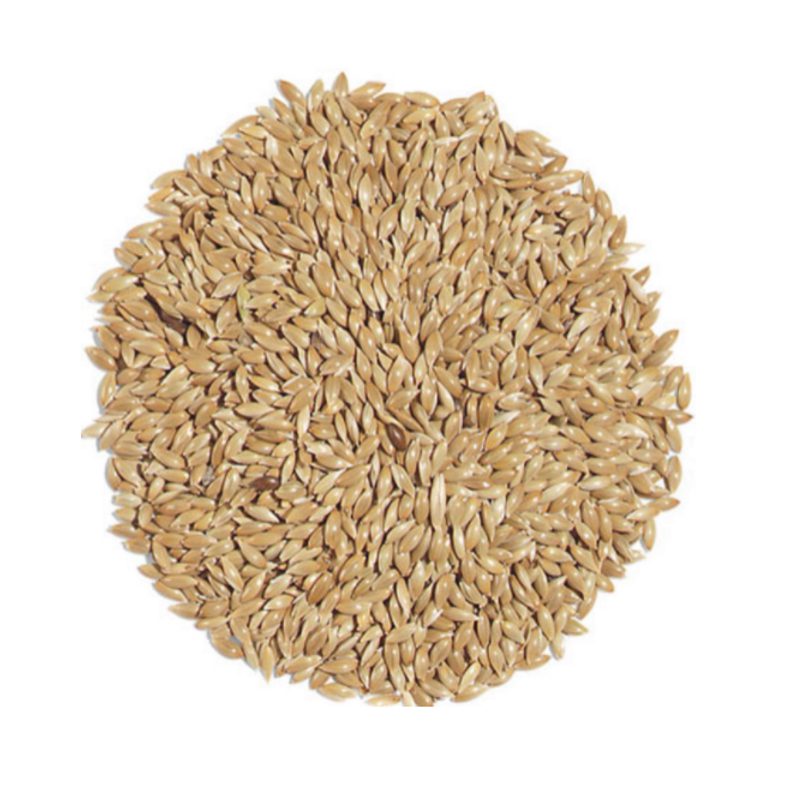 تخم کتان پرنده ایرانی( ۲۵۰گرمی)
