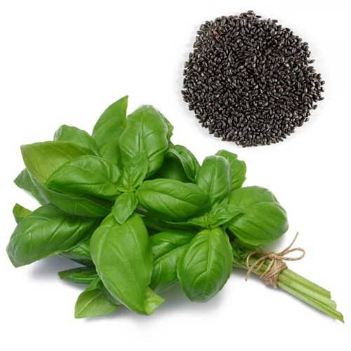 بذر ریحان سبز( ۵۰گرمی)
