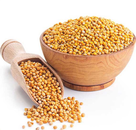 بذر خردل(۱۰۰ گرمی)